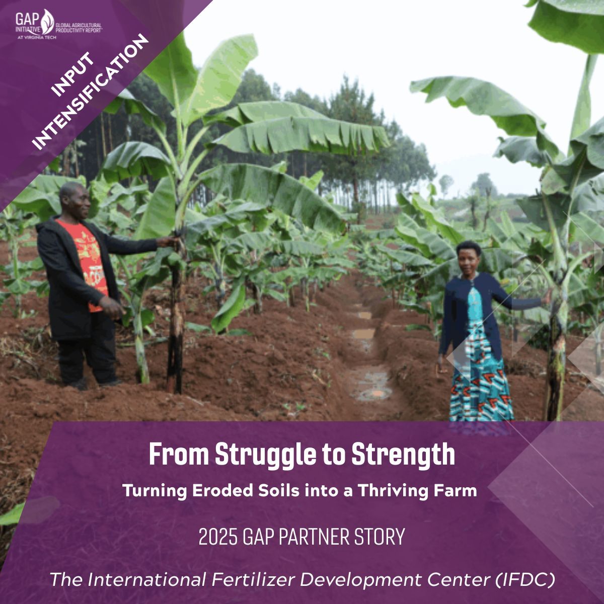 The PIP approach empowers farmers and their families to make informed decisions about their production. Learn more about GAP Initiative partner @IFDC and their work with Sara and Denis: 

globalagriculturalproductivity.org/2025-gap-repor… 

#2025GAPReport #agriculture #productivitygrowth