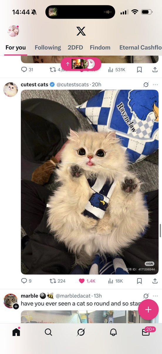 EXTRA HERTA ⚠️ | FINDOM tweet media