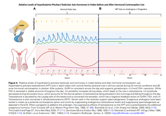 🟥Contraceptive Selection for the Endocrine Patient: What an Endocrinologist Should Know

👉👉 Aunque todos los médicos deben poseer un conocimiento fundamental de los métodos anticonceptivos para la prevención del embarazo, los endocrinólogos deben tener un conocimiento más