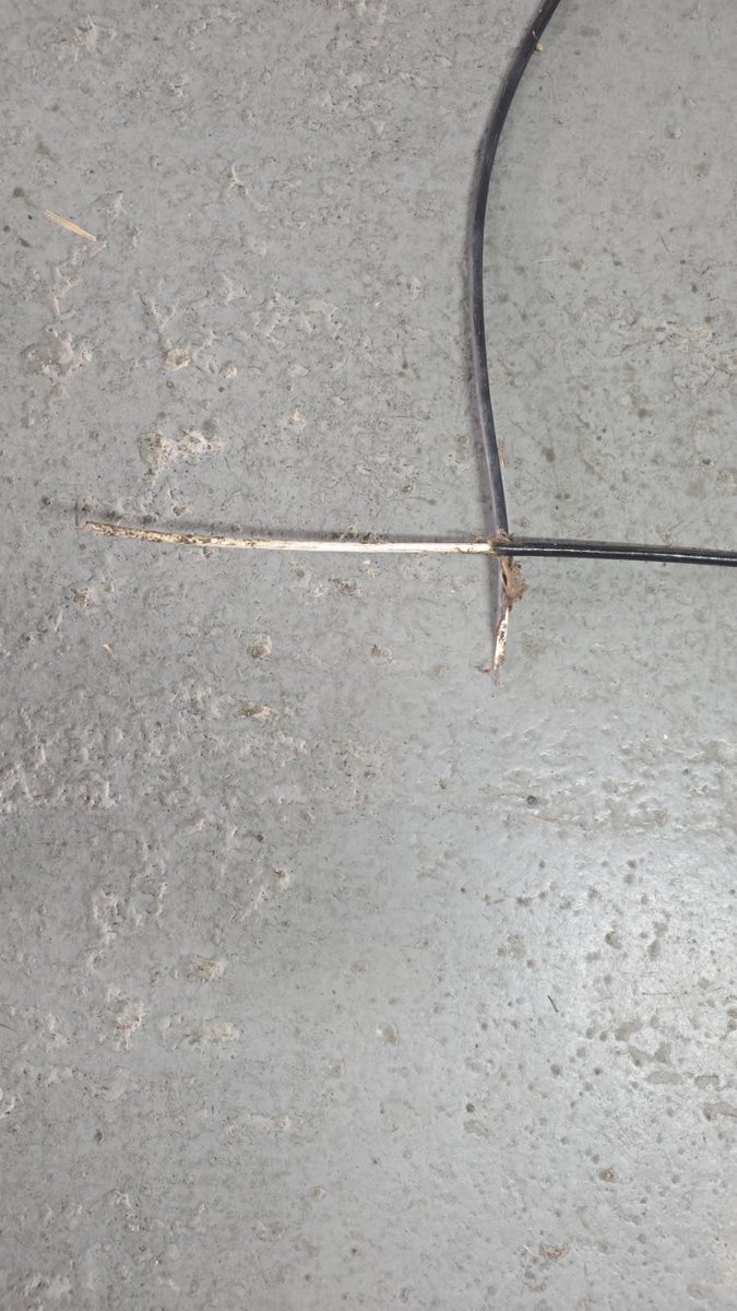 No es ninguna coña, llevo mas de 12hs sin internet porque una puta rata se ha comido el cable de la calle que va a mi casa

Ya lo eestan cambiando, pero esto es increible, esa rata la ha puesto alguien ahi tengo 0 dudas 😡