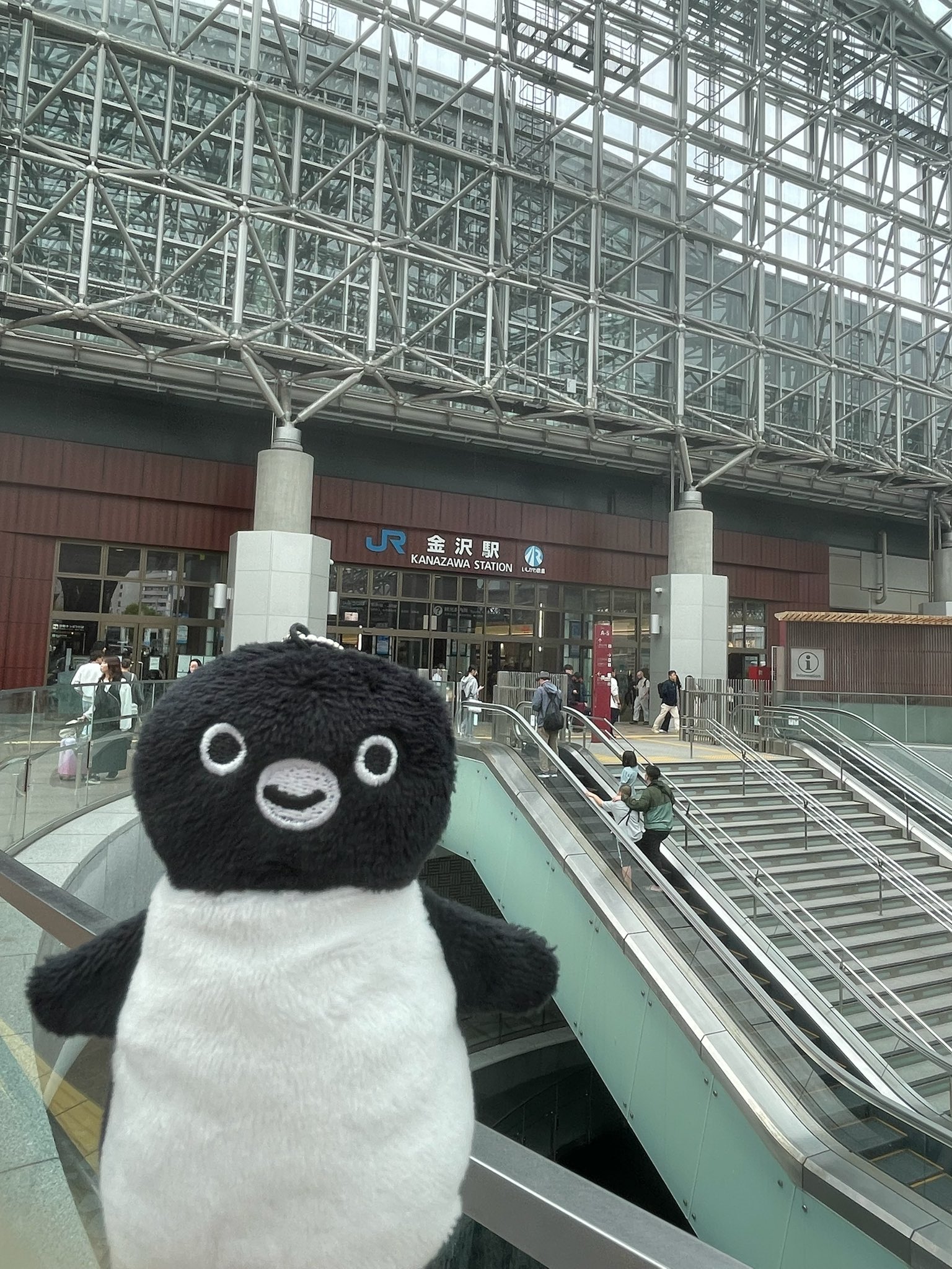 アイドルカレッジ @JAMガチャ S賞 サイン入りペンライト 若林春来