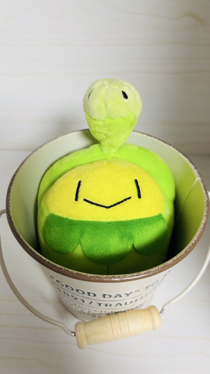 さえどん tweet media