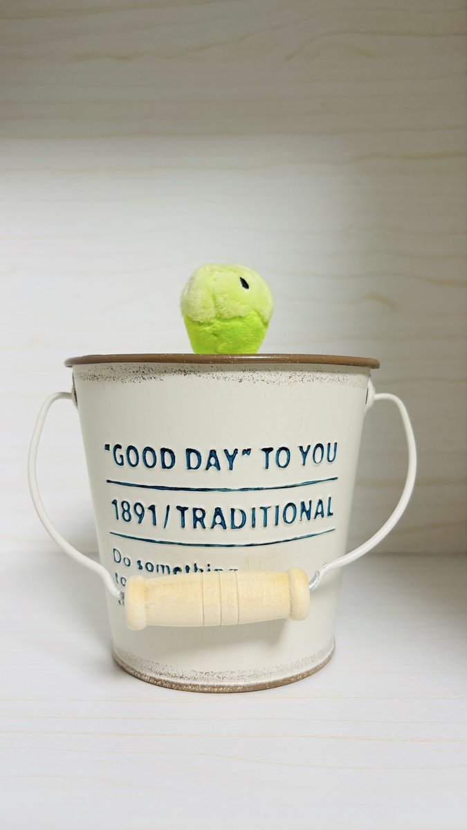 さえどん tweet media