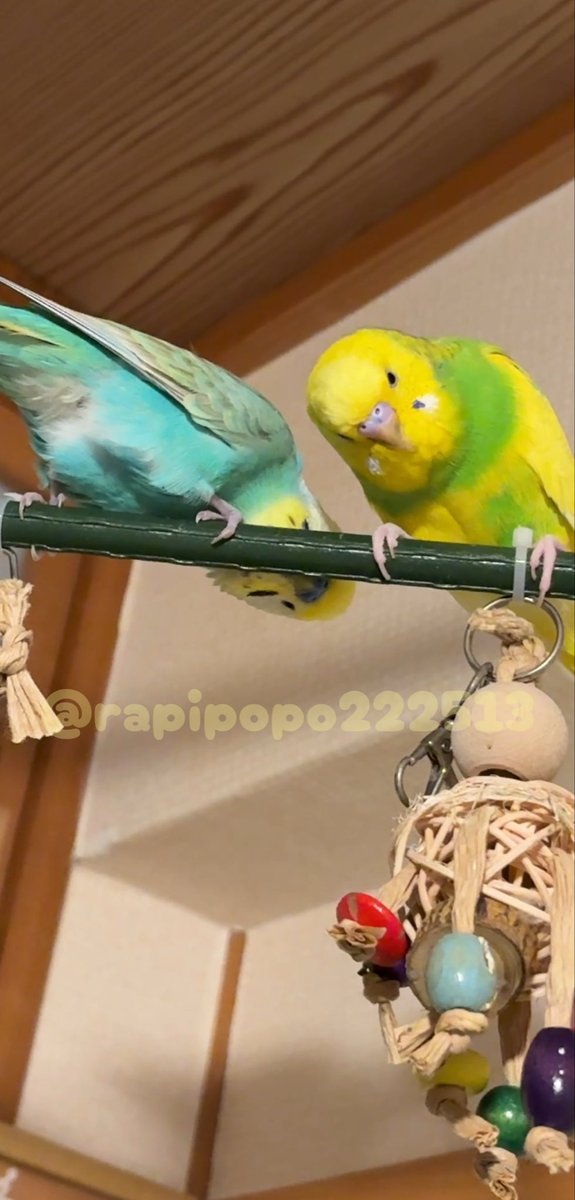 Tweet media one