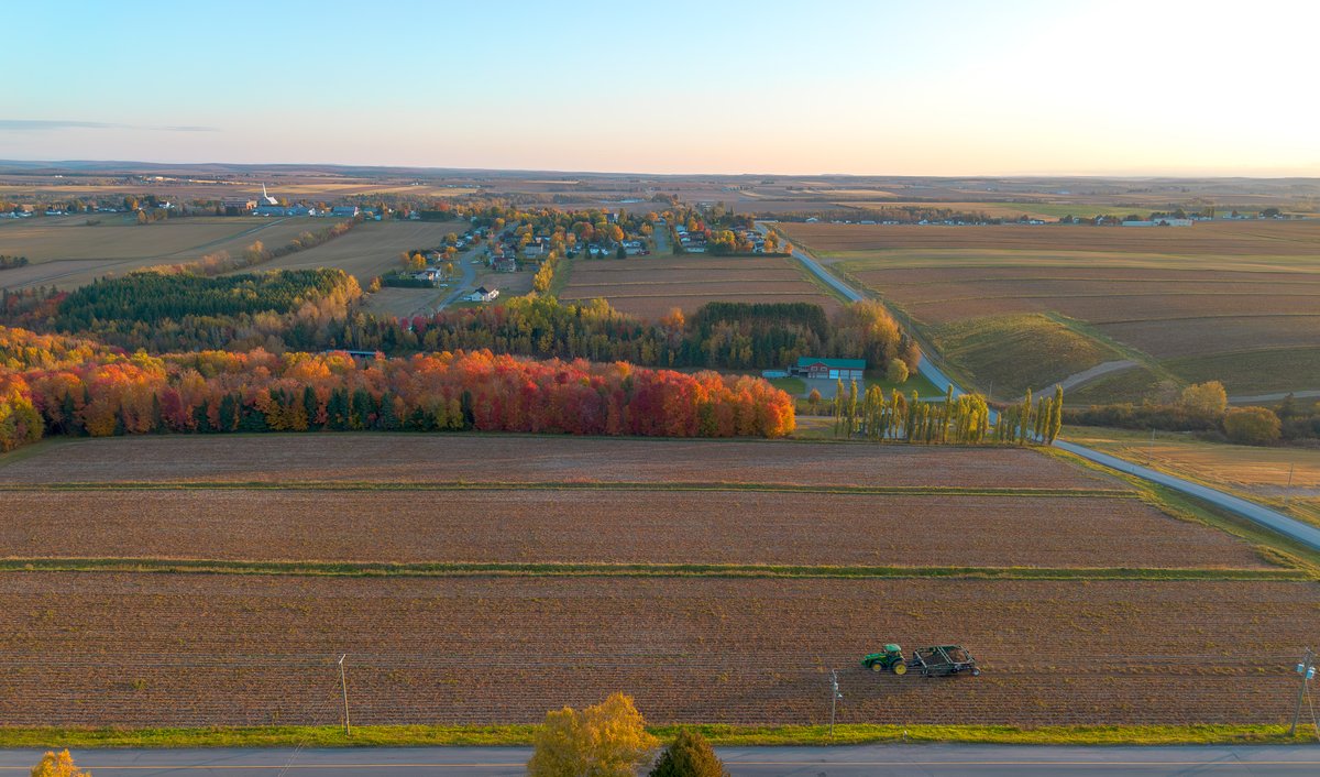 Early morning harvest photos at Givskud Farms in Drummond, NB /
Photos de récolte matinale à Givskud Farms à Drummond, NB
#NewBrunswickPotatoes #NBProud #Harvest2025 #potatoesnb
#PommesDeTerreNB #AgricultureNB