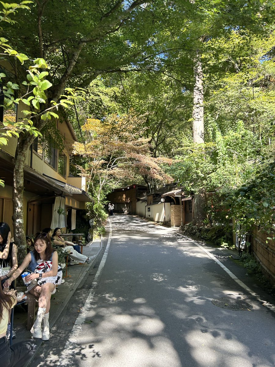 3 days ⭐️ Kurama-dera &amp; Kifune Shrine

I think this might be my favourite place in all of Japan. The hike was about an hour up and down and the walk through town was like a dream.