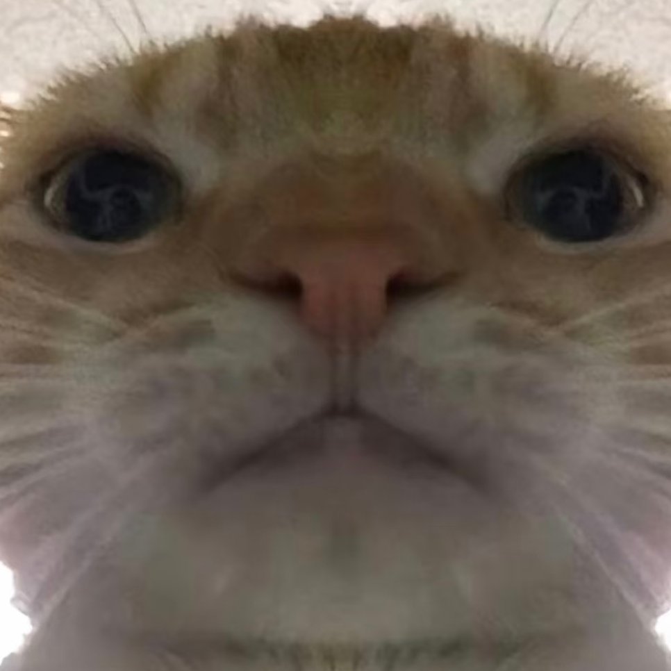 Fuggi67(SOL/acc)๐ (@fuggi67_sol) on Twitter photo  Fuggi67(SOL/acc)๐ (@fuggi67_sol) on Twitter photo