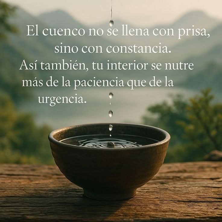 Namaste_mandalas (@namaste_mandala) on Twitter photo 