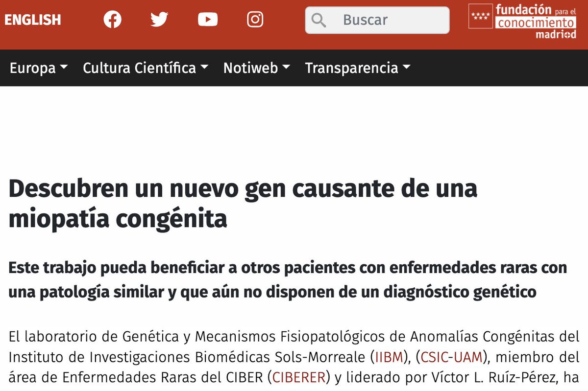 IIBM tweet media