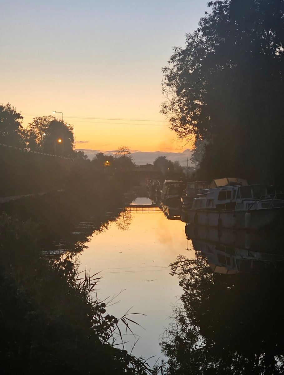 Emily Ross tweet media