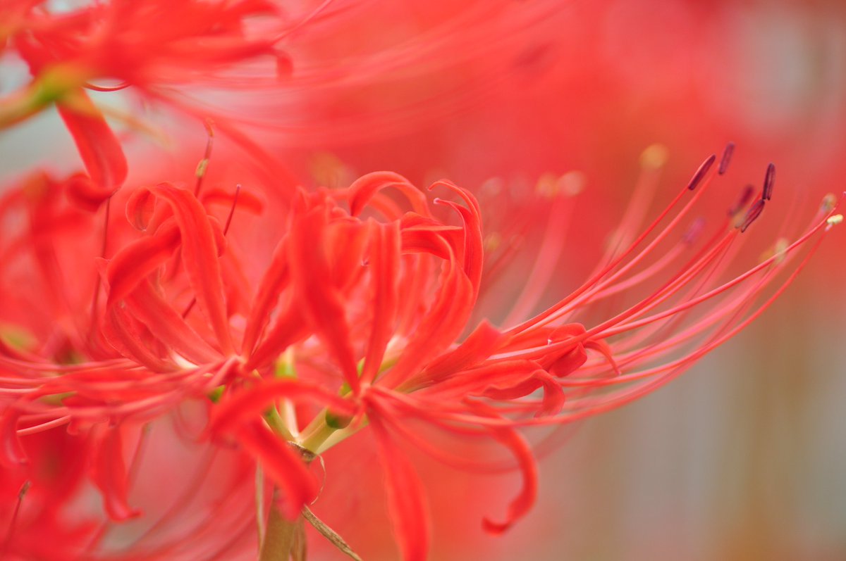 YUKI⚡🧊Liberty on X