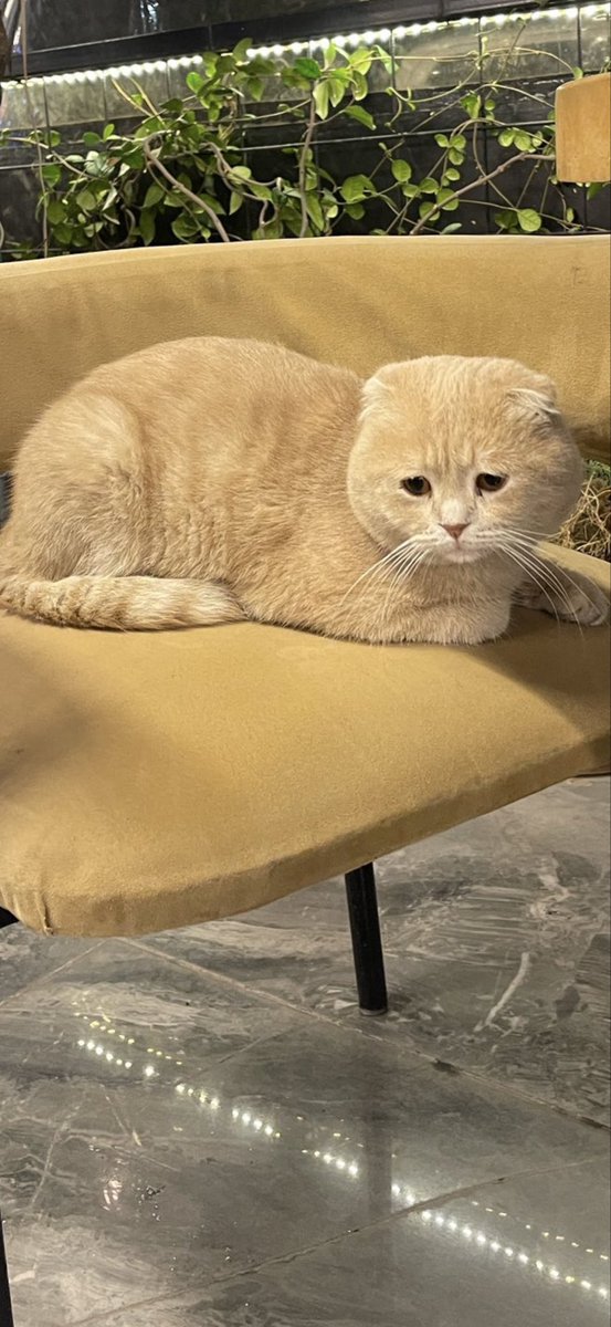 Tipe bak sen niye bu kadar üzgünsün ya