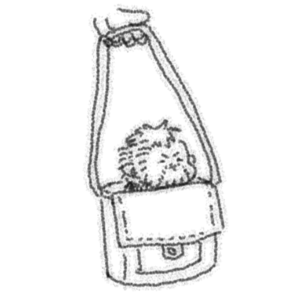 BareMueran tweet media