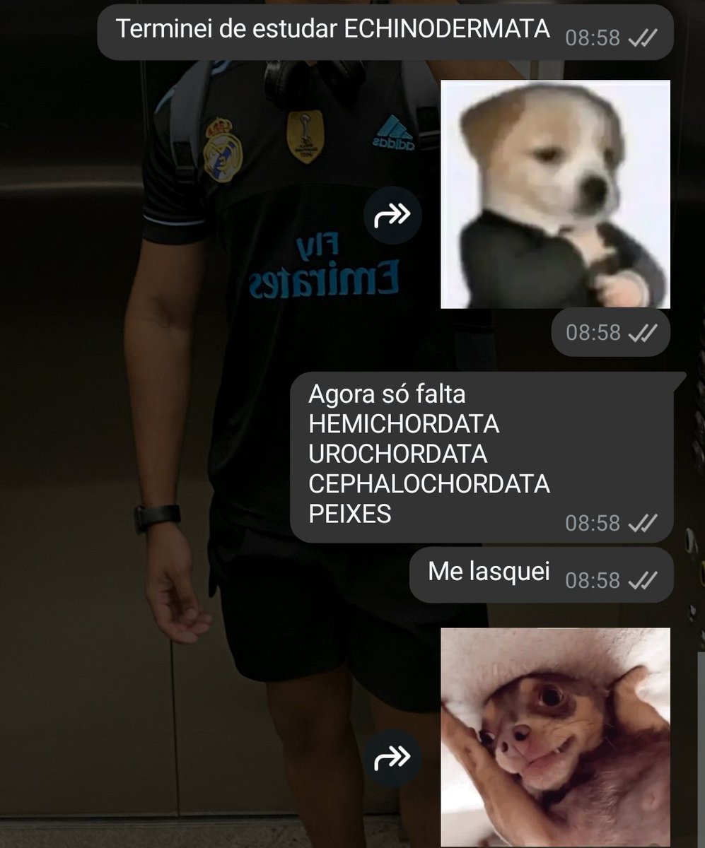 Ai que capeta