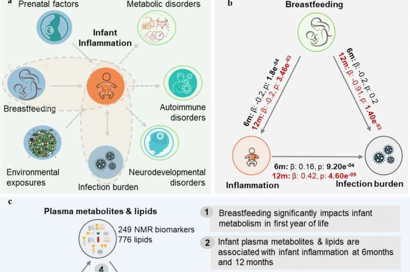 #Breastfeeding until at least 6 months helps babies to fight off #infections and reduces #chronic #inflammation: understanding the way specific nutrients in breast milk impact the immune system will improve health outcomes for all infants. medicalxpress.com/news/2025-10-b…