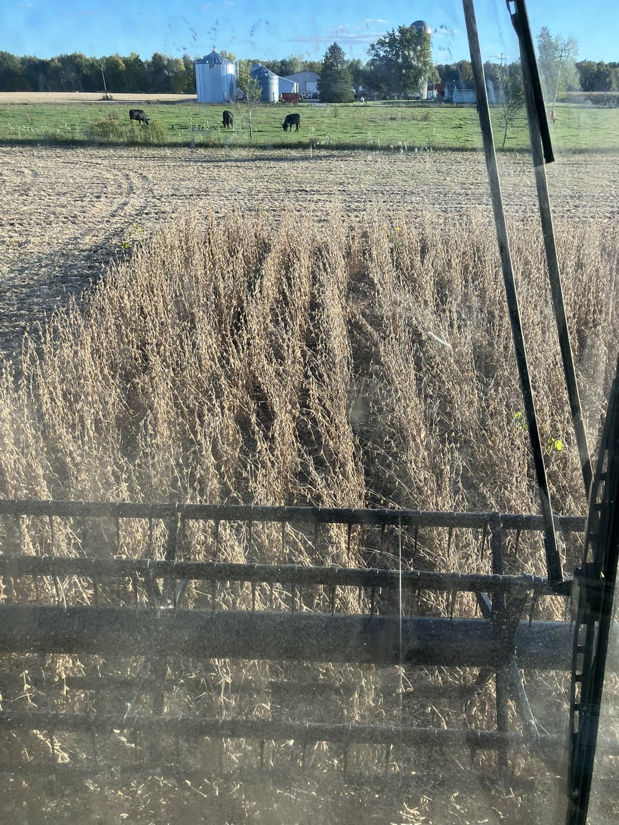 Corn Grower tweet media