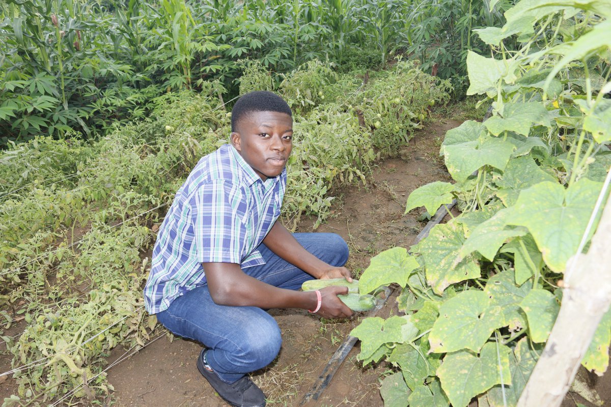 @IITA BBEST Project tweet media