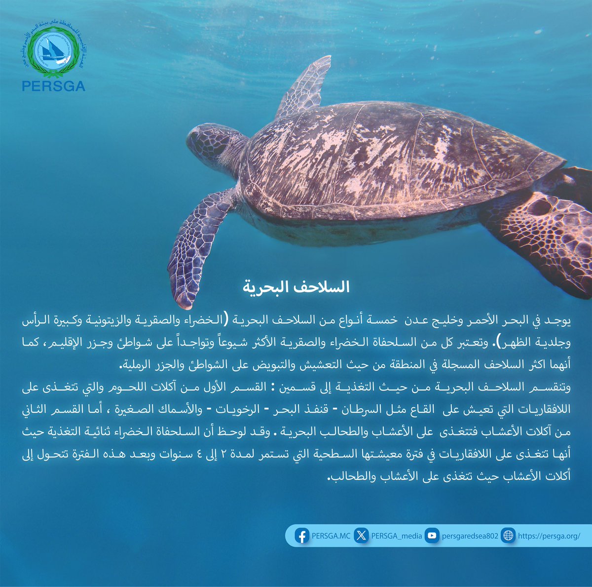 الهيئة الإقليمية لبيئة البحر الأحمر وخليج عدن (@persga_media) on Twitter photo 