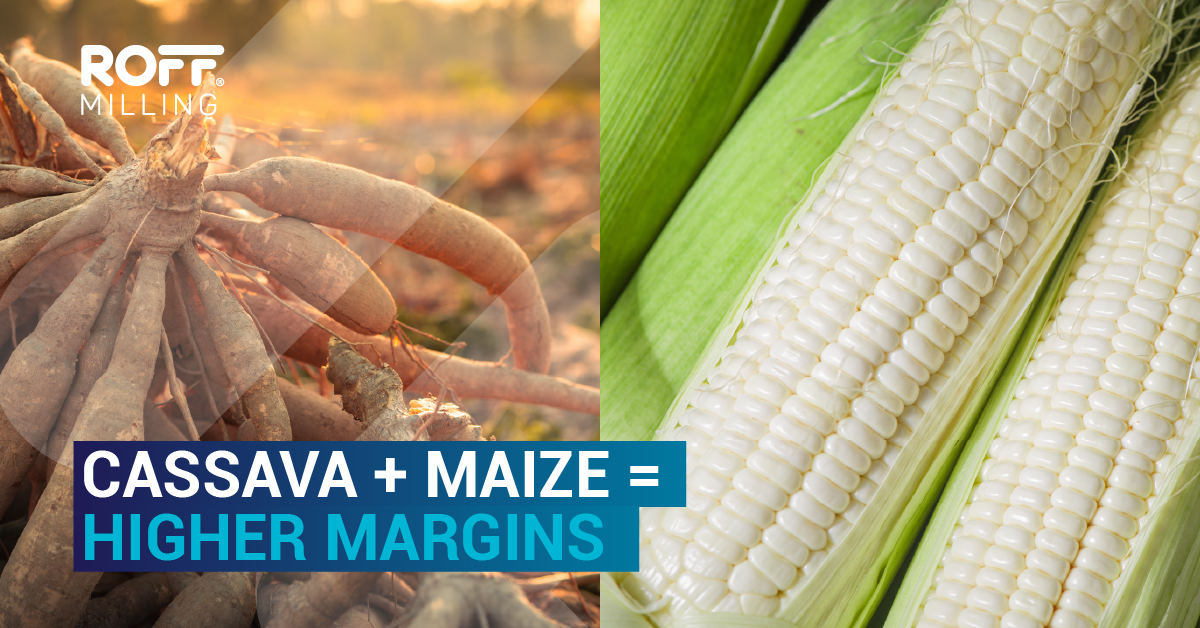 RoffMills's tweet image. Already running a maize mill? Add cassava flour for bigger margins!
Discover how with the new Roff Cassava Mill → hubs.li/Q03MtW9-0

#CassavaFlour #MaizeMilling #MachinesThatDriveSuccess