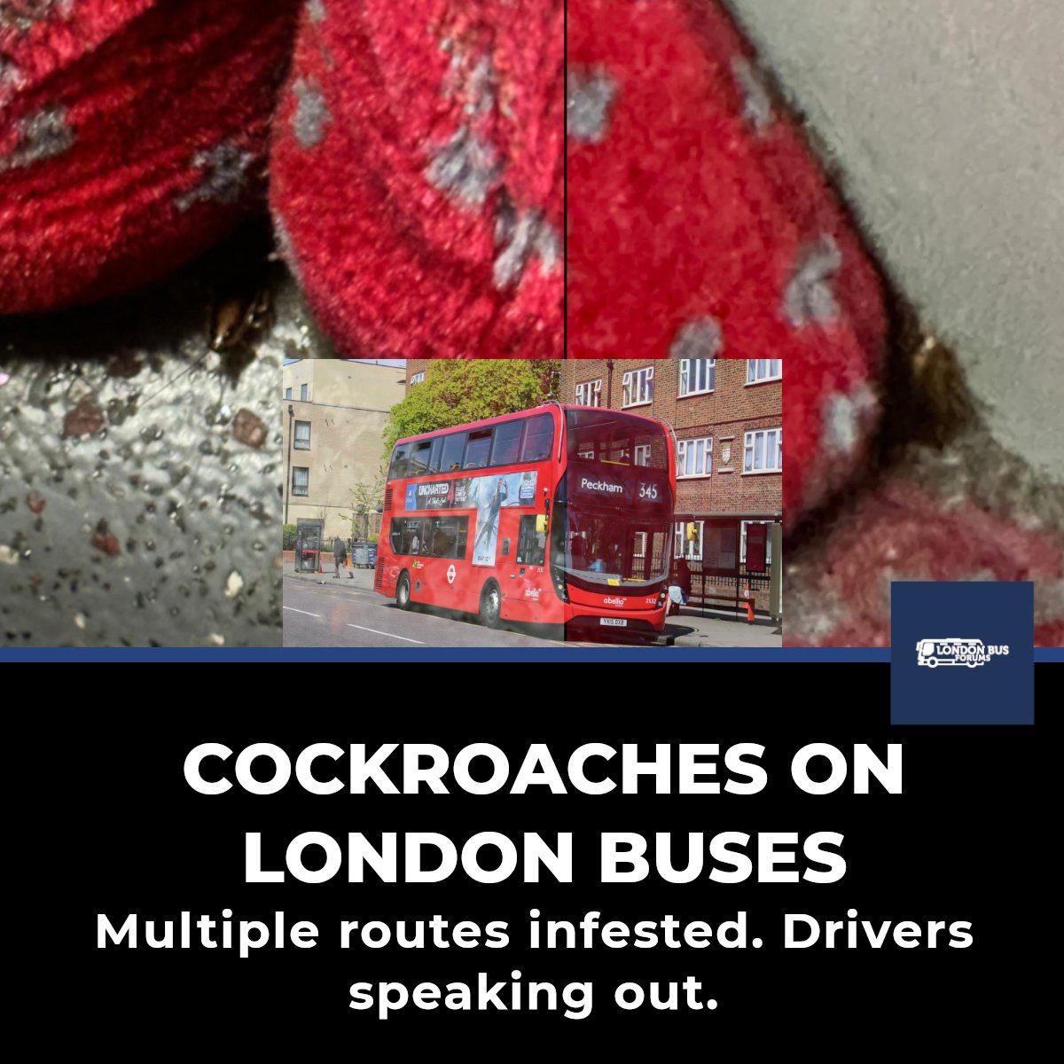 LondonBusForums's tweet image. “I spat it out. It was a cockroach.”

A London bus driver describes what is happening behind the scenes on routes still in service.

Routes affected include 159 and 345 operated by Transport UK and route 55 operated by Stagecoach London.
tinyurl.com/59hrjthj

#TfL #LondonBuses