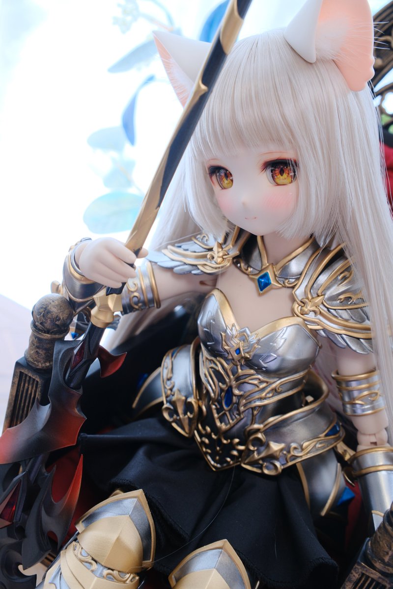 今日もカッコイイ🐱✨
#ぽえっ子