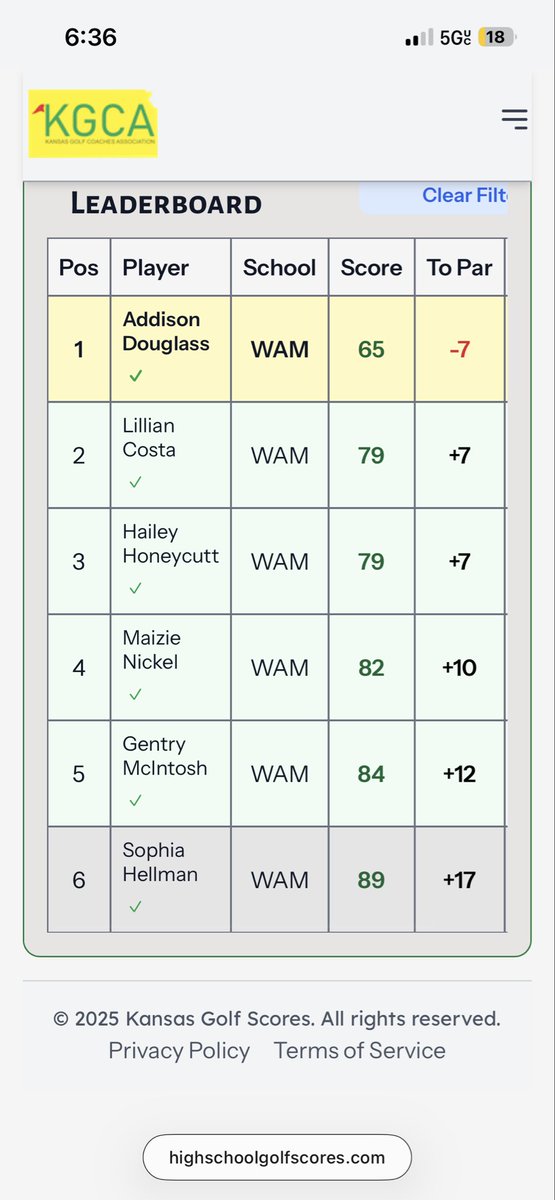 WamegoGolf tweet media