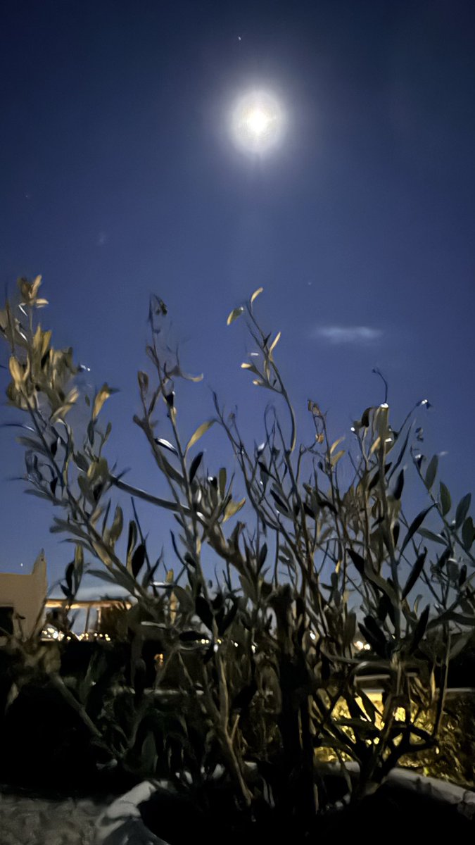 Lawrence Biscontini (@findlawrence) on Twitter photo 