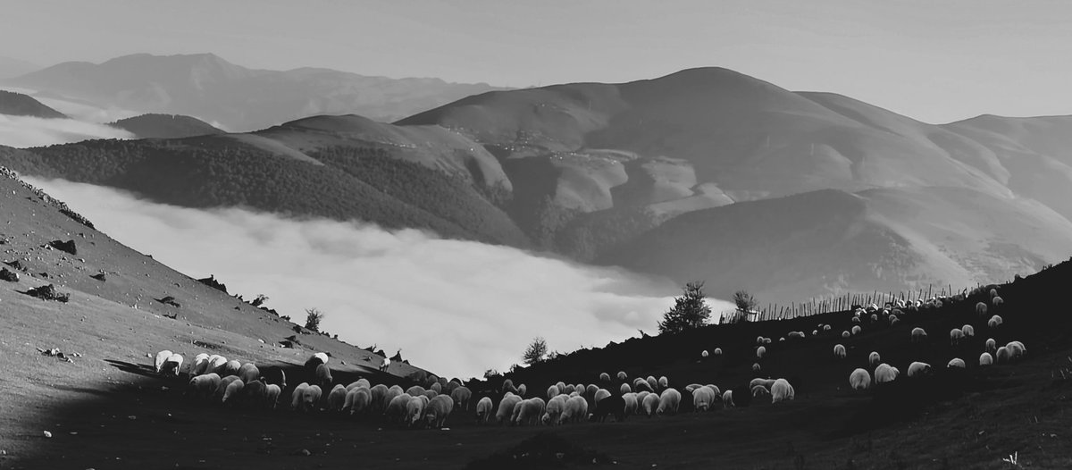 Sima Pk (@sima_pk) on Twitter photo #photography
objkt.com/tokens/KT1JFty… #photography
objkt.com/tokens/KT1JFty…