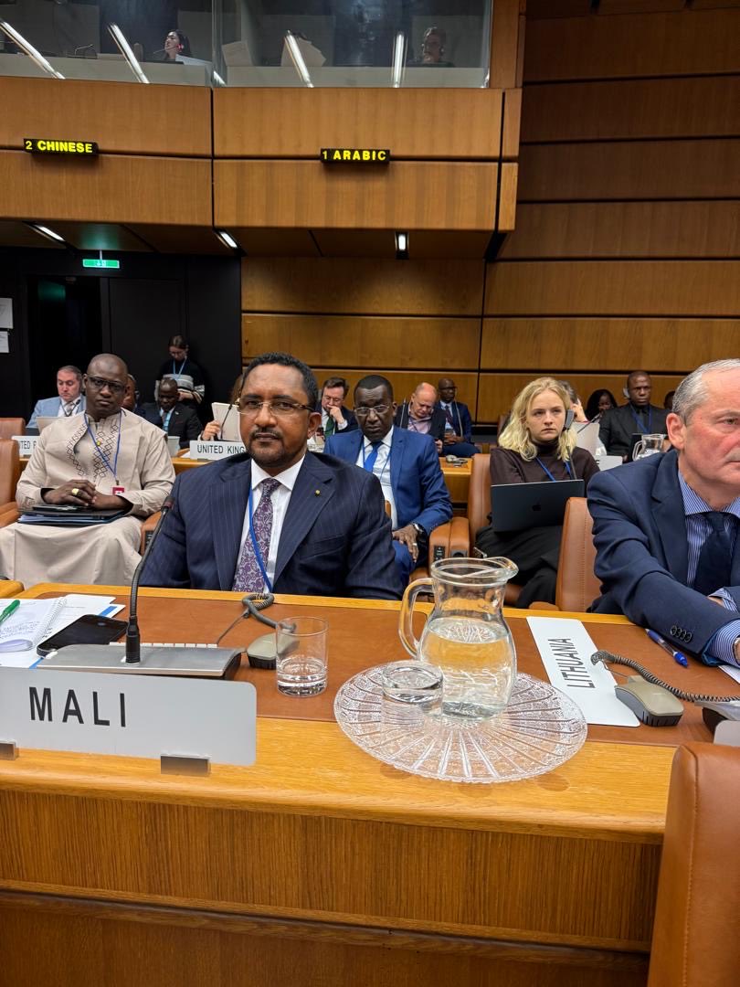𝟏𝟐ᵉ 𝐫𝐞́𝐮𝐧𝐢𝐨𝐧 𝐝𝐮 𝐆𝐫𝐨𝐮𝐩𝐞 𝐝𝐞 𝐭𝐫𝐚𝐯𝐚𝐢𝐥 𝐬𝐮𝐫 𝐥𝐞 𝐭𝐫𝐚𝐟𝐢𝐜 𝐢𝐥𝐥𝐢𝐜𝐢𝐭𝐞 𝐝𝐞 𝐦𝐢𝐠𝐫𝐚𝐧𝐭𝐬 𝐚̀ 𝐕𝐢𝐞𝐧𝐧𝐞, 𝐞𝐧 𝐀𝐮𝐭𝐫𝐢𝐜𝐡𝐞!

Je prends part, ce 9 octobre 2025 à Vienne, au nom du Gouvernement du Mali, à la douzième réunion du Groupe de