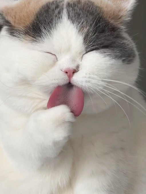 kily_h's tweet image. Caught in a candid moment! 😻