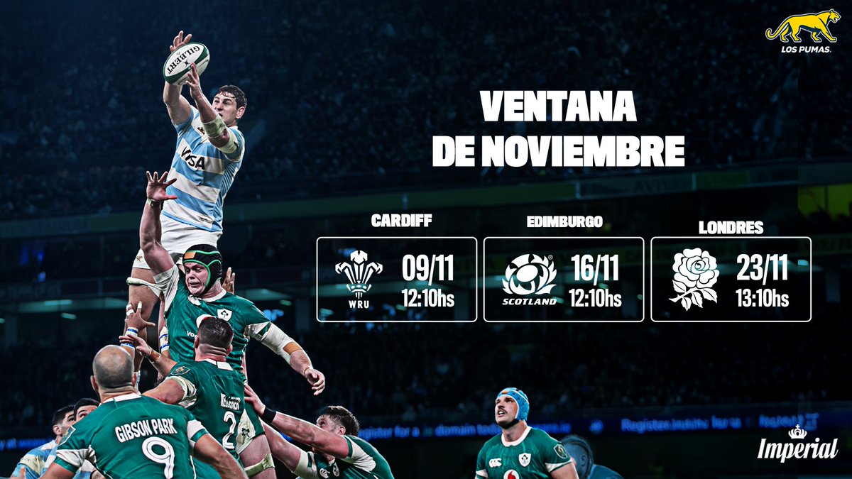 Los Pumas tweet media