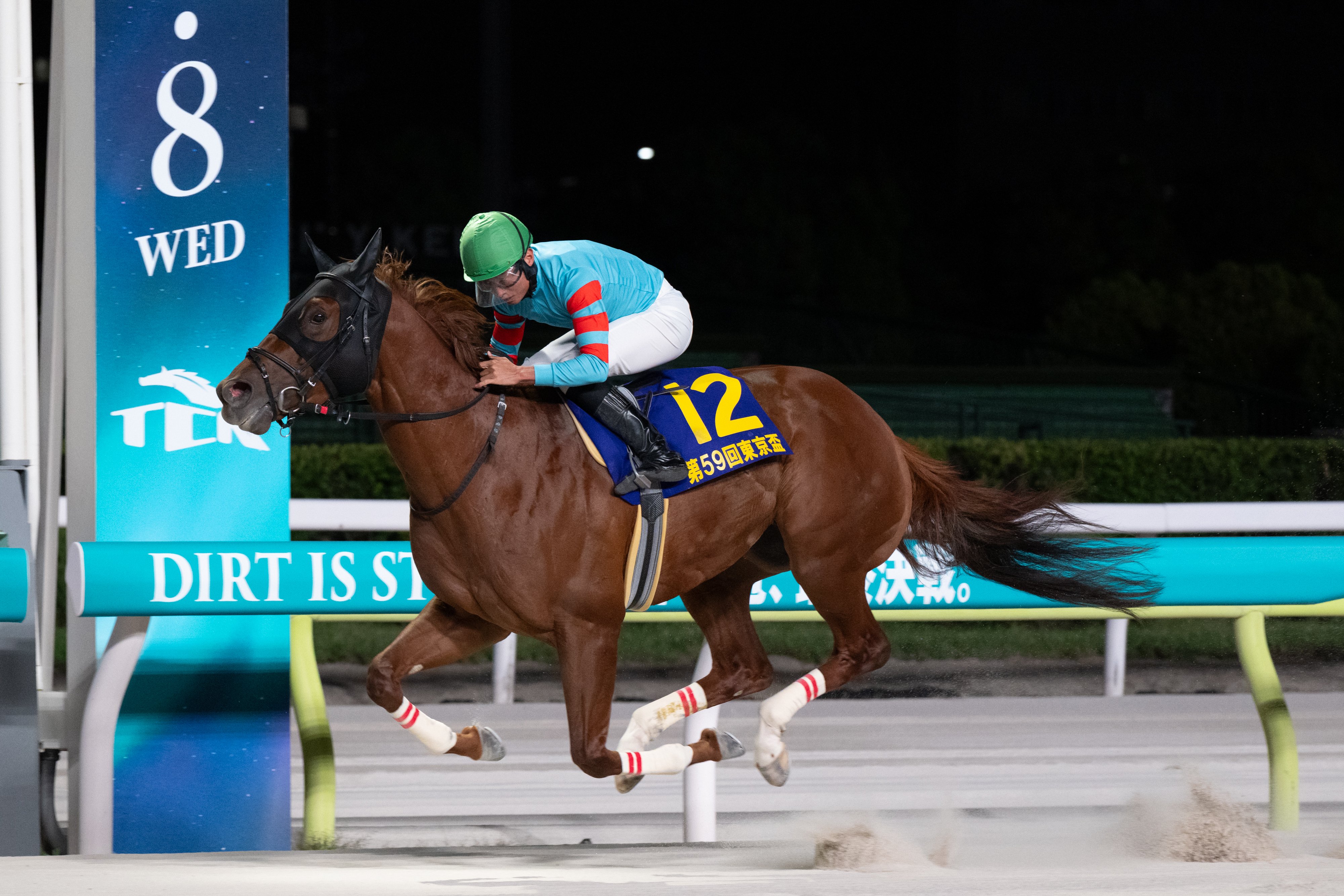 JRA必勝バイブル 奥村俊一の競馬赤本 希少本 JRA必勝バイブル 奥村俊一の