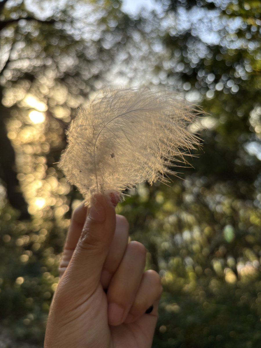 Hiromi_Iuchi's tweet photo. Oct. 10th 2025
Open 10:00-16:30pm

クローズまで、あと12開館日

“Garden of images”
Megihouse, Megi Island 
Autumn Session
Oct.3-Oct.26. 2025

https://t.co/keEta7Ch21 https://t.co/NTEWhkBDy8