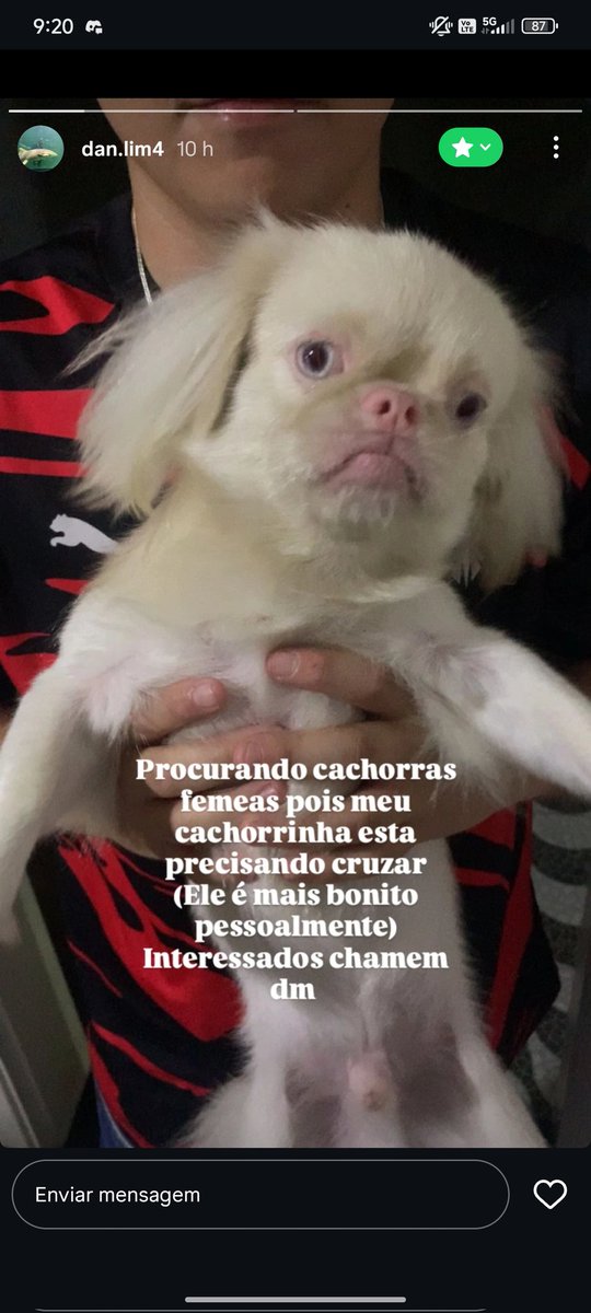 joaoescudeiro_'s tweet photo. Irmão ngm vai querer cruzar com essa porra https://t.co/VWklGgBP7T