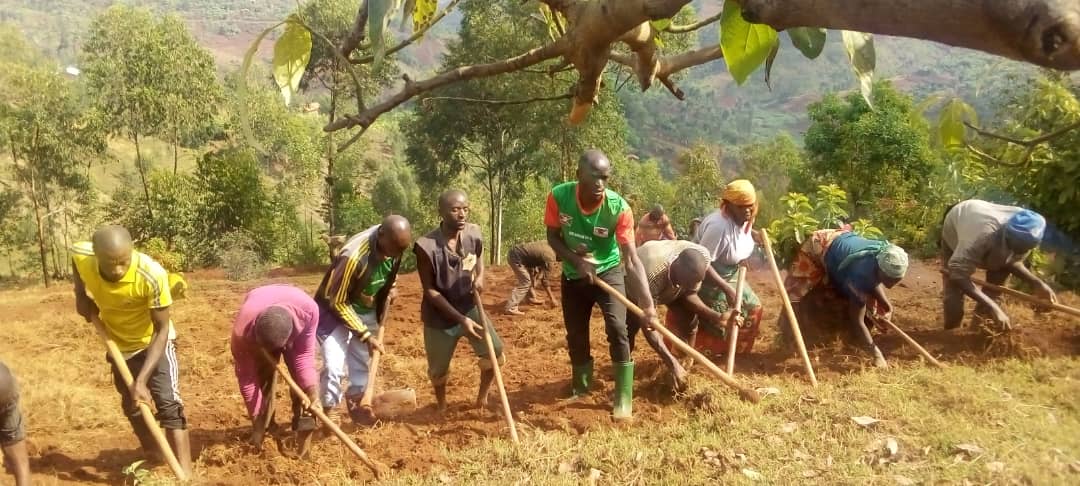 #Ngozi 09/10/2025
Ubuserukizi bwa <a href="/CnddFdd/">CNDD-FDD</a> muri Komine,bagendeye ahagiye guterwa ibitara vy'amavoka muma zone ya #Mubuga na #Gatsinda.Ihangiro rya @CnndFdd muri komine #Ngozi akaba aruko zone yose gushika mukwa 11 izoba yamaze gutera ibiti birenga 200.000 vy'amavoka
<a href="/R_Ndikuriyo/">Ndikuriyo Révérien</a>