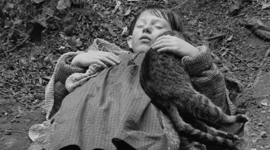 El #NobelDeLiteratura 2025 es para #LászlóKrasznahorkai 🇭🇺.

El "Maestro del apocalipsis" (Susan Sontag) se impuso a Murakami y Atwood, redefiniendo el canon con su obra  sobre el terror y la resistencia.

Nota completa 🔗 goo.su/Gw8y2e 

#Nobel2025 #LiteraturaHúngara