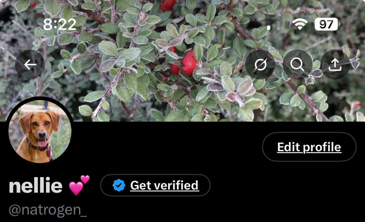 Tweet media one