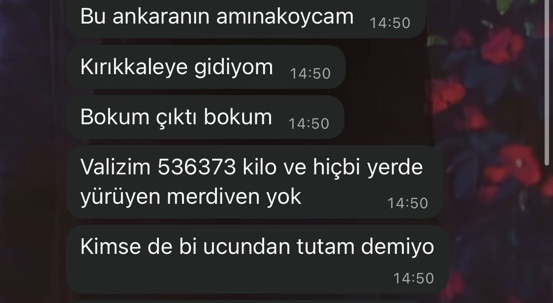 Ankara sevicileri asla anlamayız mesela