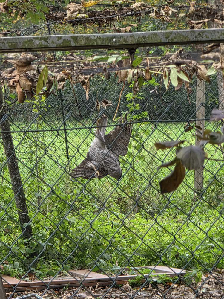 Da können wir natürlich helfen.