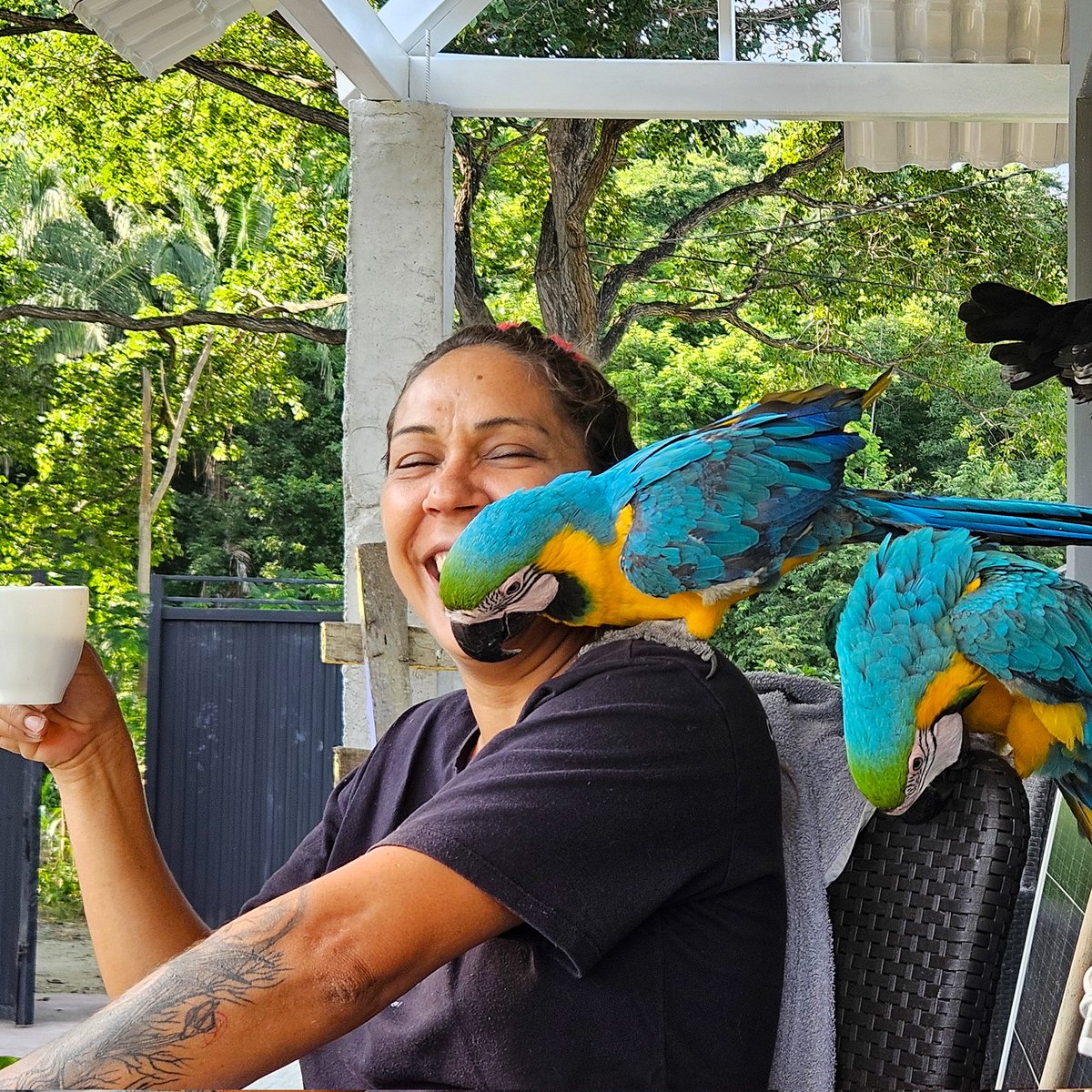 GM ☕🇨🇴