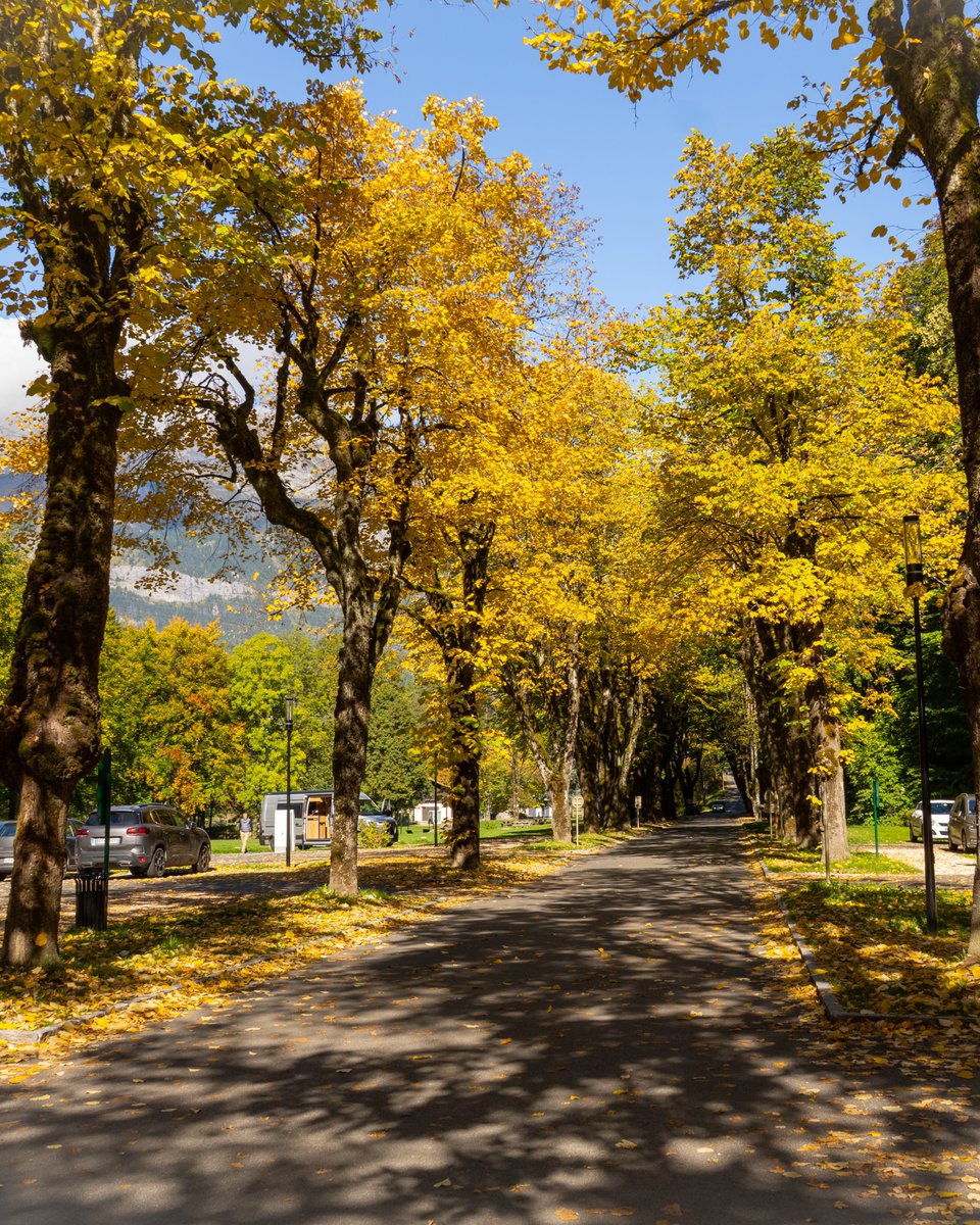 Saint-Gervais tweet media