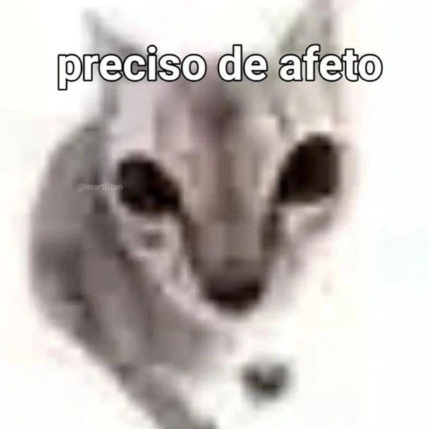 odeiootaco's tweet photo. https://t.co/PxzGYf56Tg