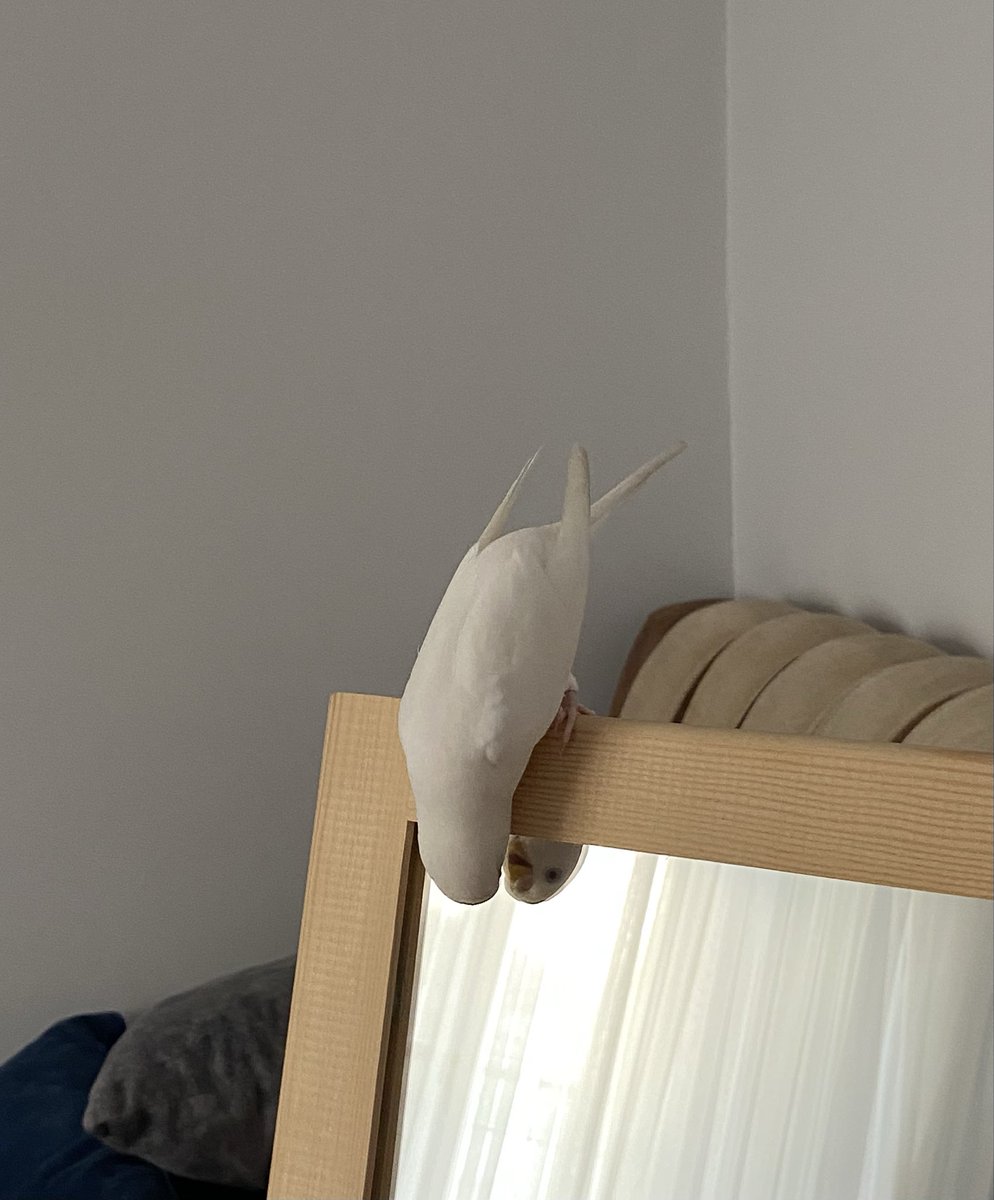 Yolda her ayna gördüğümüzde bizdir