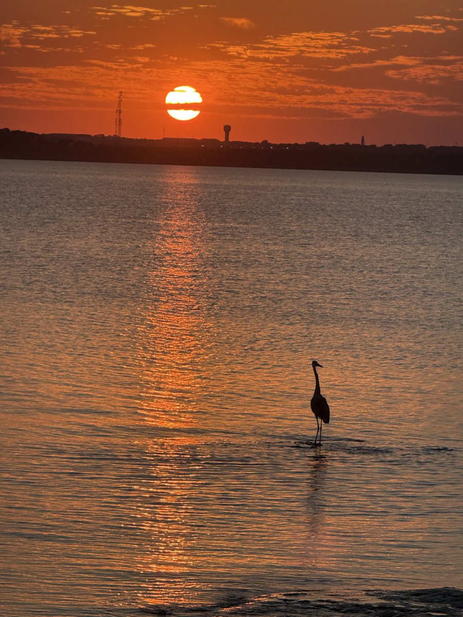 PepitaCorona's tweet image. Morning !! 💙Let your Day be filled with Joy 🤩 🙏😉God Bless Us 🤍

Empty your mind, be formless, shapeless like water&quot; — Bruce Lee  #bestquote #watervibes #ThursdayThoughts #amoelagua #aqua #grapevinelake #GoldenHourpics #goldentime #lakeiteasy #autumndays
