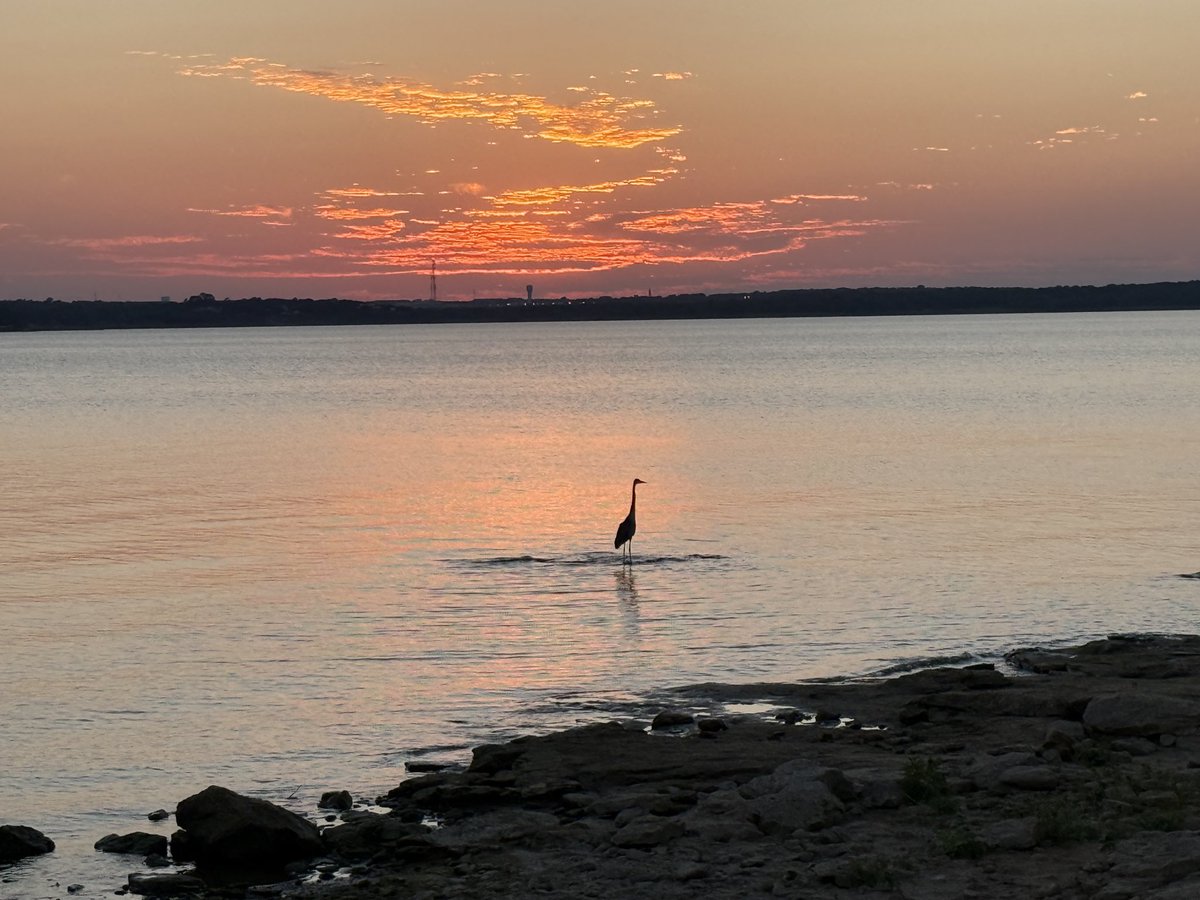 PepitaCorona's tweet image. Morning !! 💙Let your Day be filled with Joy 🤩 🙏😉God Bless Us 🤍

Empty your mind, be formless, shapeless like water&quot; — Bruce Lee  #bestquote #watervibes #ThursdayThoughts #amoelagua #aqua #grapevinelake #GoldenHourpics #goldentime #lakeiteasy #autumndays