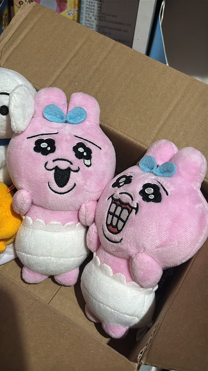 shu 🥂 tweet media