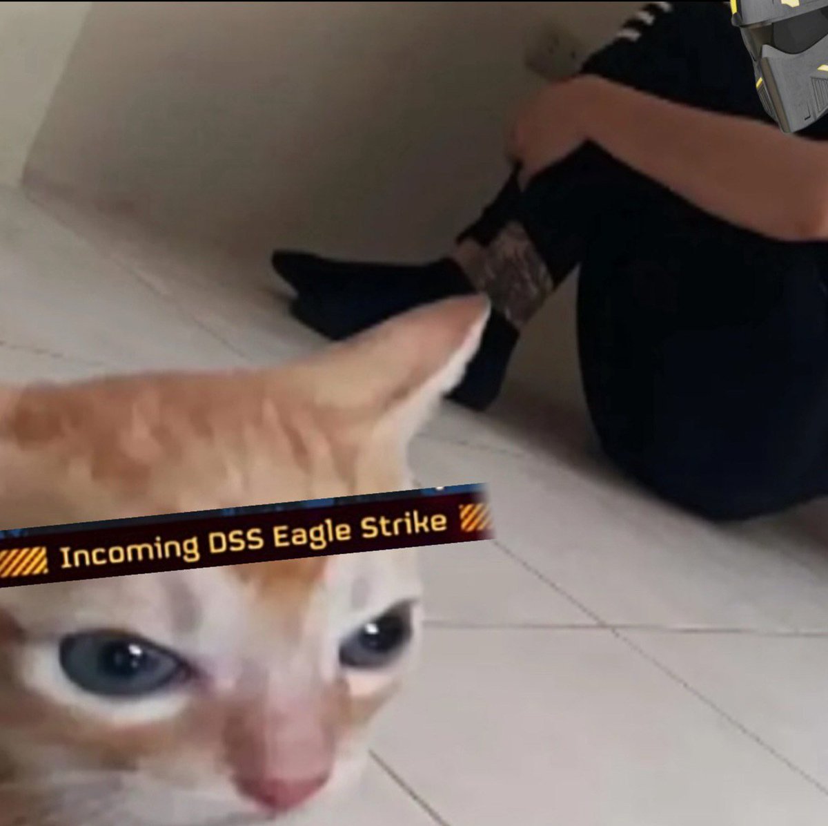 Helldivers_NOW's tweet image. #Helldivers2 | #Helldivers2Memes