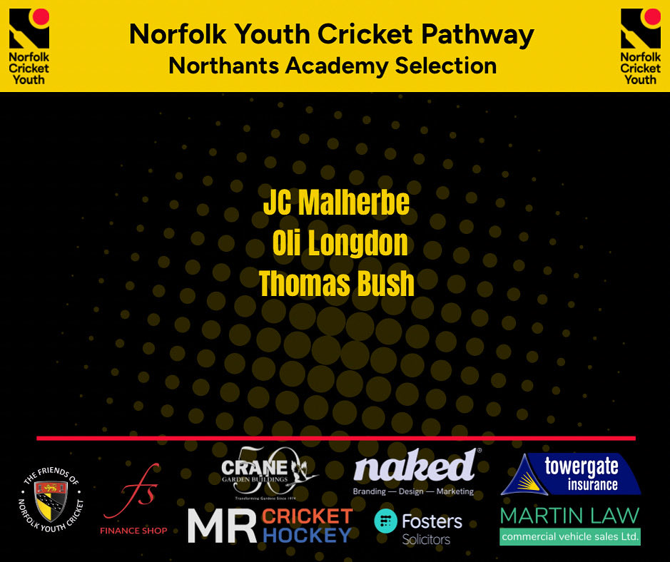 Norfolk Cricket Pathway tweet media
