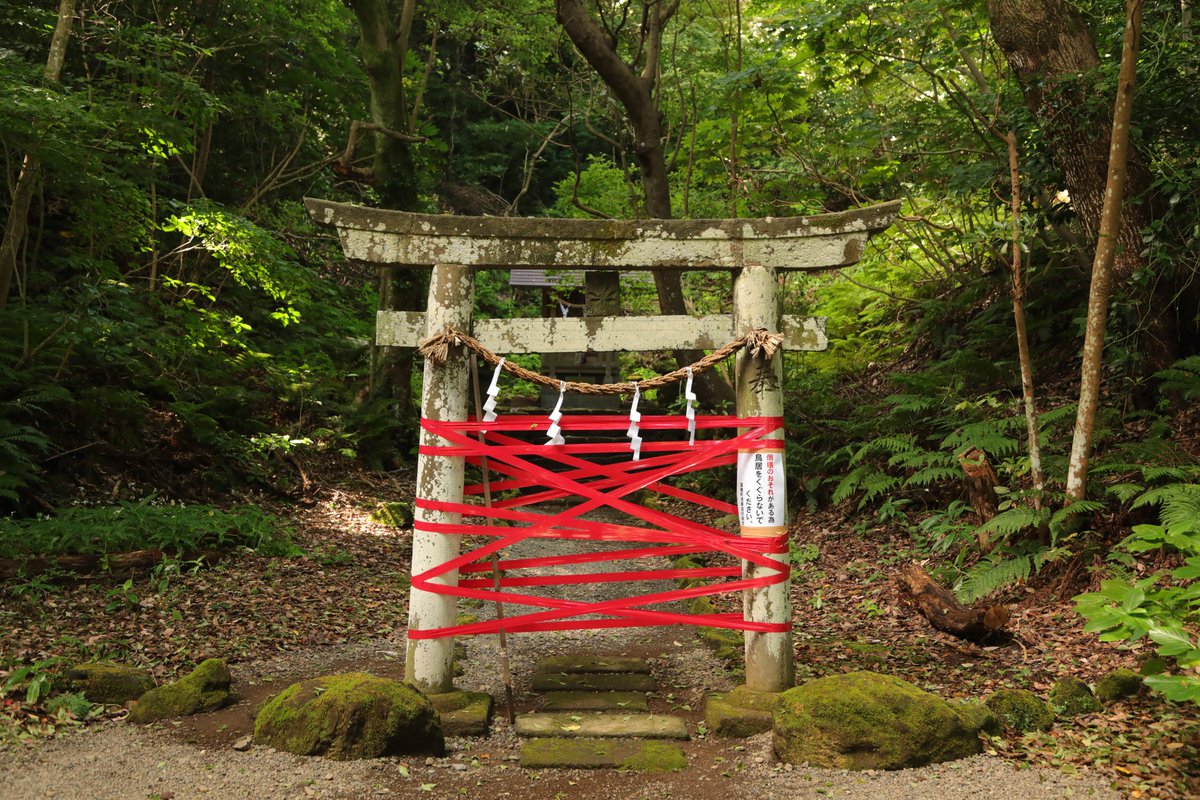 真鶴の山神社。遠野の卯子酉神社みたいになってる！……と思ってよく見たら、単純に危険なのでくぐったらアカンということみたいだった。