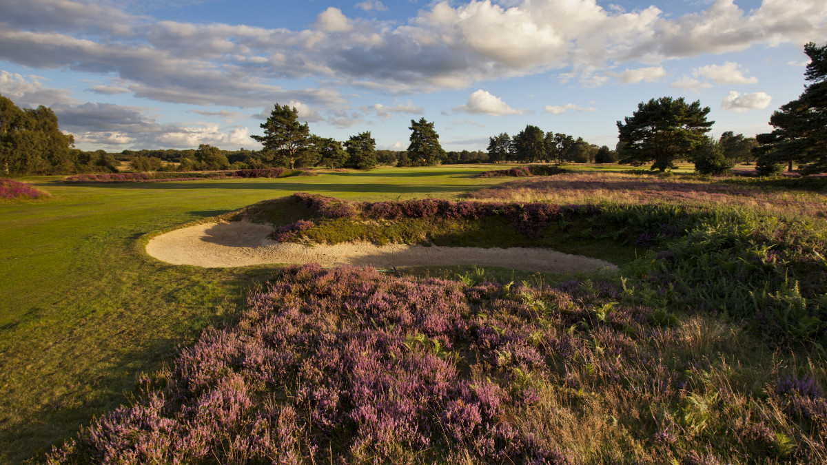 Assistant Greenkeeper bigga.org.uk/career/assista…